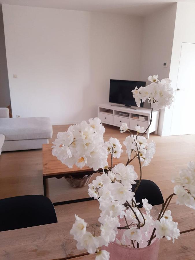 Luxe Duplex Appartement Mavi جيستيل المظهر الخارجي الصورة
